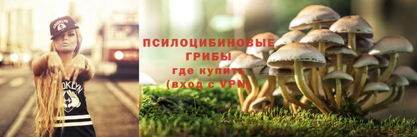 дживик Остров