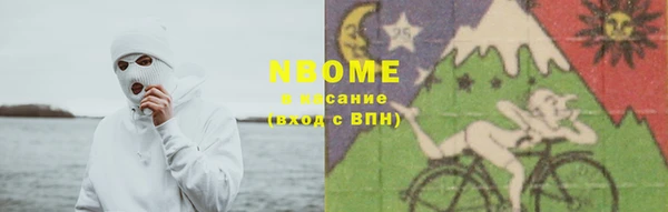 хмурый Осинники