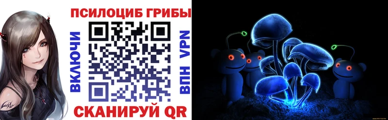 shop официальный сайт  купить наркотики сайты  Кузнецк  Псилоцибиновые грибы мицелий  KRAKEN как зайти 